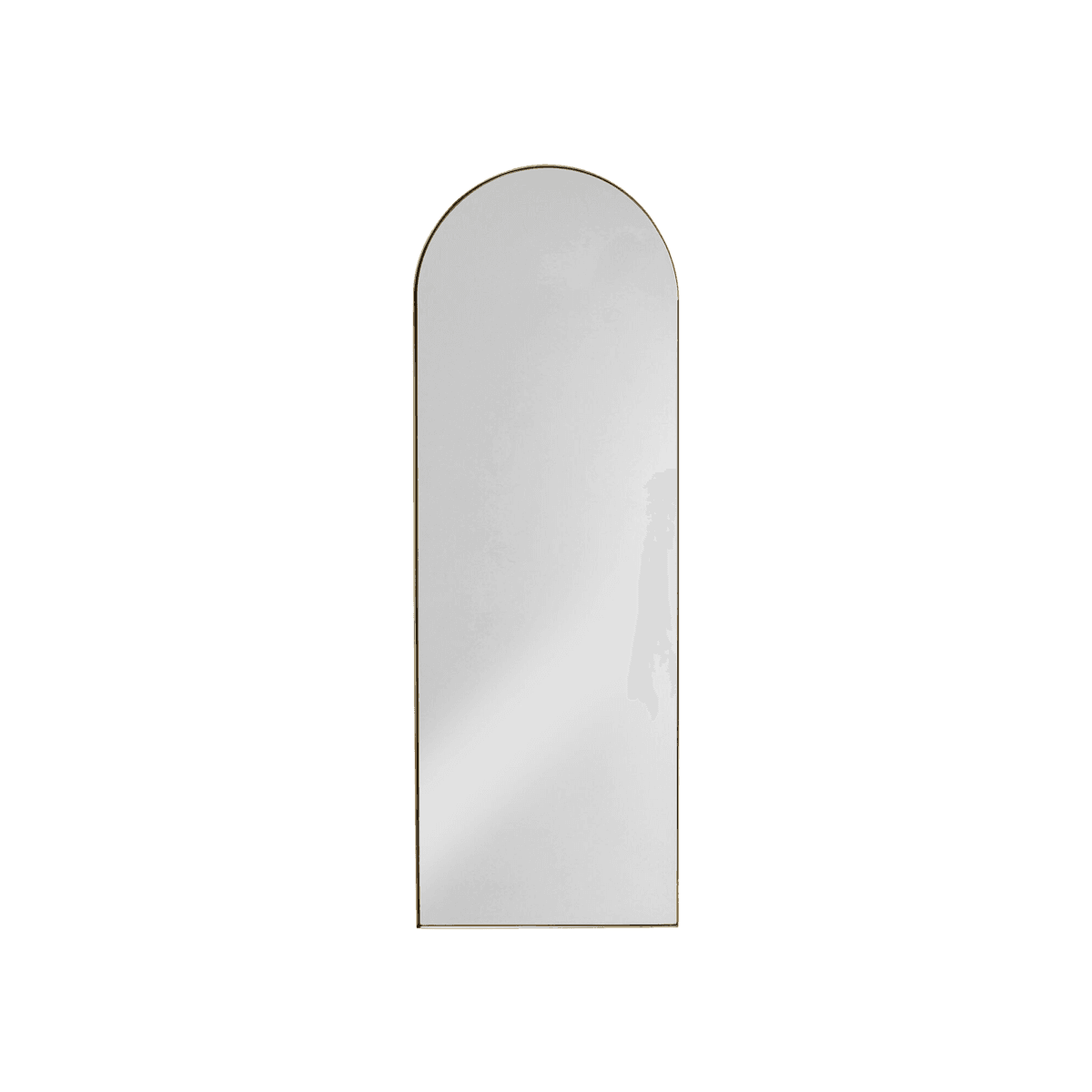 Wall Mirror Daisy 165X55Cm